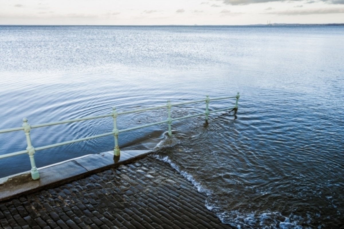 MIT-Sea-Level_0.jpg (Full)