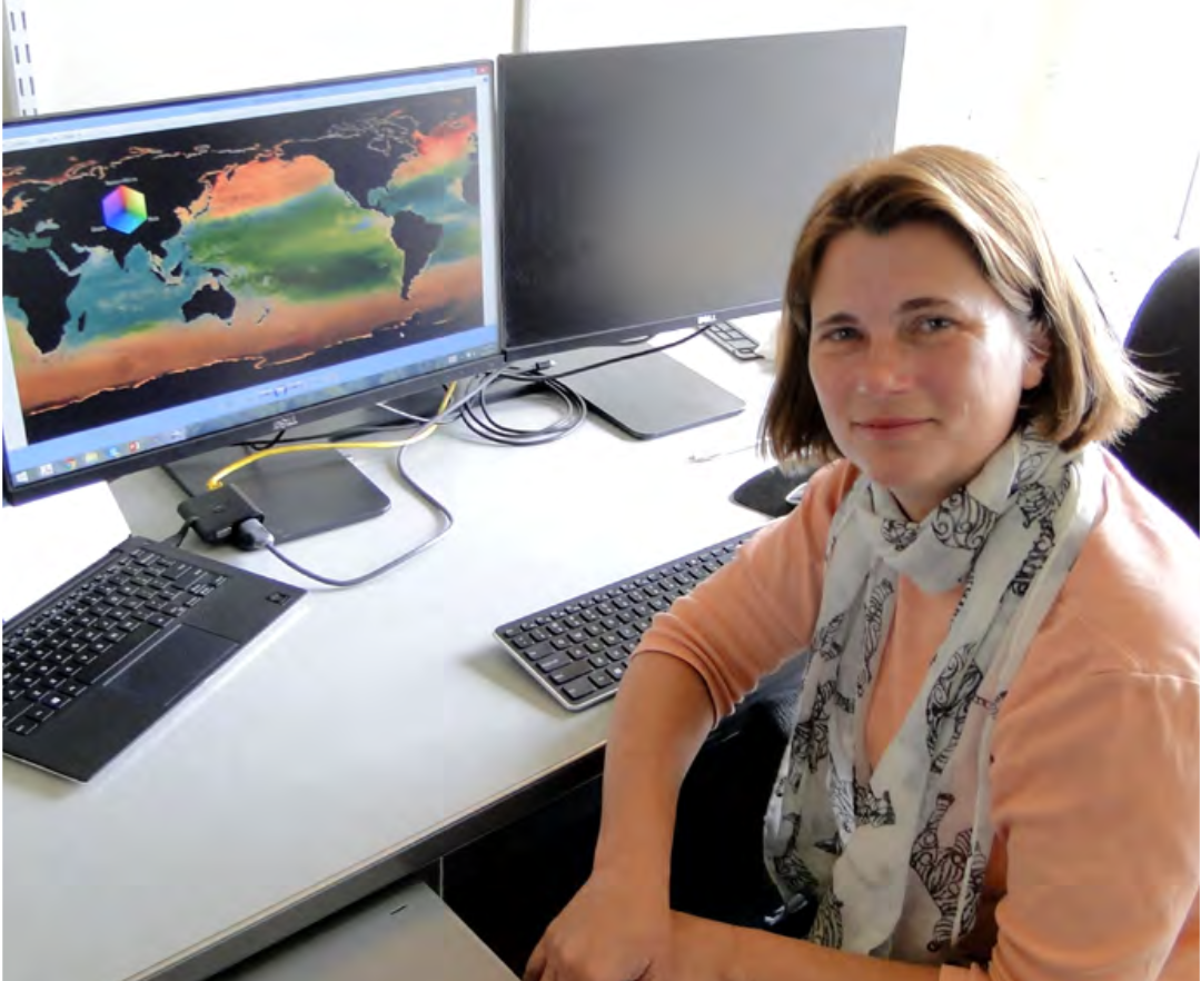 Dutkiewicz models the growth, loss and movement of phytoplankton around the world, the environments that they inhabit and how they affect one another.